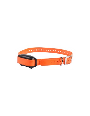 Collier De Dressage 600M ProHunt - LVC