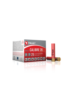 Cartouches Semi-Magnum...